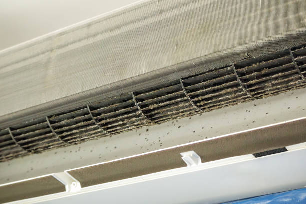 Best Affordable Duct Cleaning Services  in Verona, MS